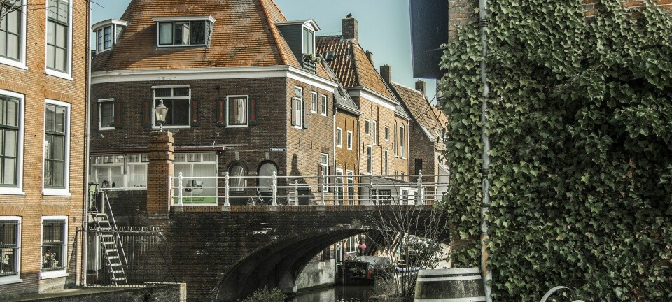Nederland, foto Pixabay