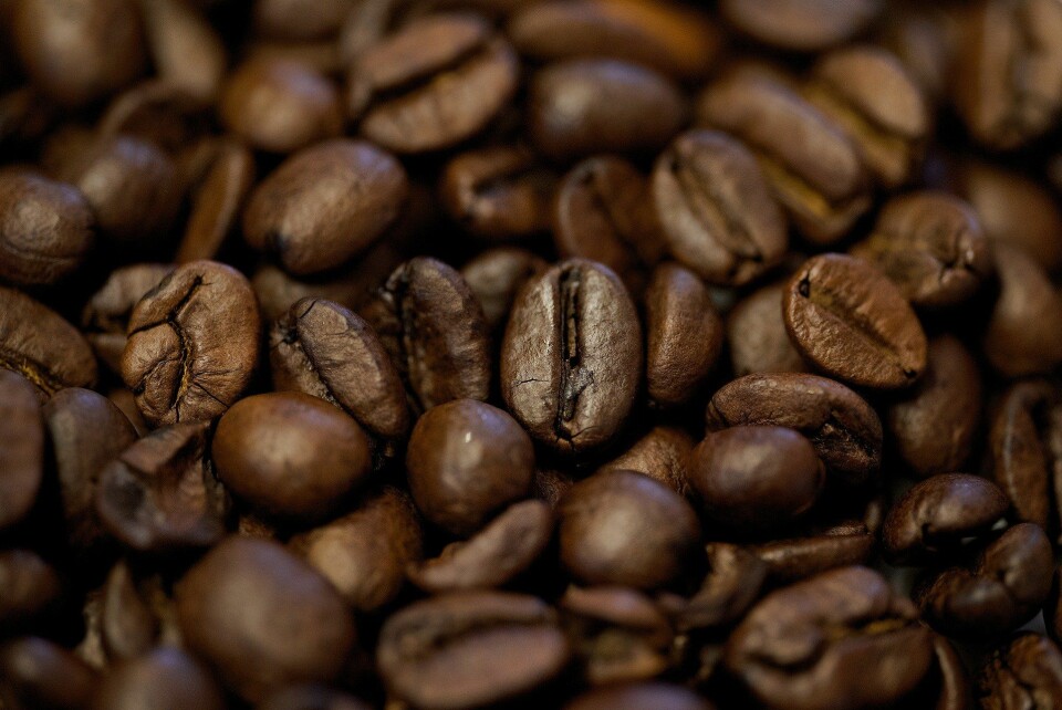 Kaffe, kaffebønner foto fra Pixabay.com