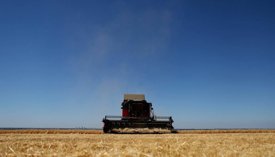 A farmer harvests his crops during the heatwave in Scampton, Lincolnshire, Britain, August 11, 2022.  REUTERS/Carl Recine