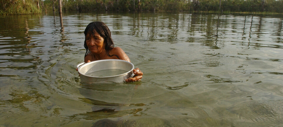 An elder Indian woman of the Suya ethnic group uses a steel pot to fetch water for cooking from the river near her village, Ngojhwere at the border of Xingu Indian Reservation in the northern state of Mato Grosso, Brazil, Nov. 27, 2003. The Xingu is Brazil's oldest and arguably most successful Indian reservation a 6.92 million acre stretch of pristine rainforest where 14 Indian tribes live in much the same way as they have for thousands of years. (AP Photo/Dado Galdieri)